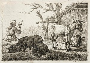  by Pieter van Laer