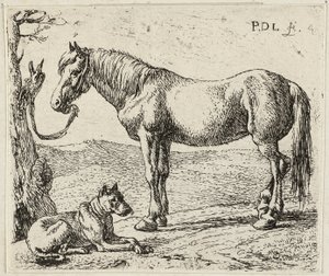  by Pieter van Laer