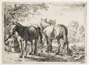  by Pieter van Laer