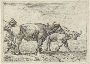  by Pieter van Laer