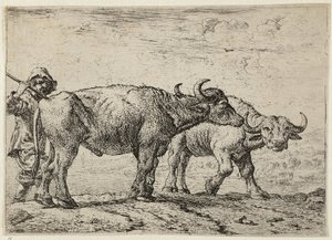  by Pieter van Laer
