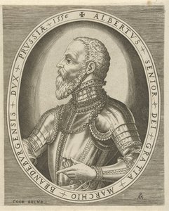 Brandenburg Uçbeyi Albrecht Friedrich