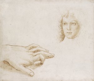 Baş ve El Çalışmaları (beyaz kağıt üzerine metal nokta üzerine açık kahverengi mürekkeple kalem ve fırça) by Pietro (circle of) Perugino