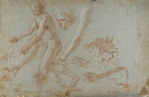 Çizim by Pietro Aquila