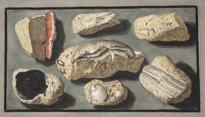 Herculaneum