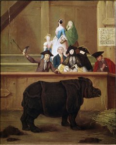 Gergedan: Clara, Hint gergedanının sergisi. Pietro Longhi