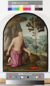 Vahşi Doğada Aziz Jerome, c.1510-15 by Pietro Perugino