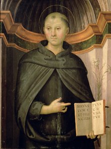 Tolentino Aziz Nikolaos by Pietro Perugino