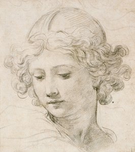 Bir meleğin başı, sola bakıyor by Pietro da Cortona