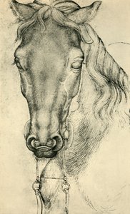 Bir atın başı, c1420-1455, 1943. by Antonio Pisanello