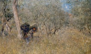 Zeytin ağaçları arasında, fascinler, Plinio Nomellini (1866-1943), tuval üzerine yağlı boya, 60x100 cm