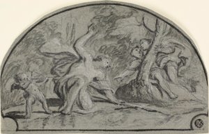 Nergis by Polidoro da Caravaggio