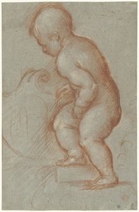 Bir arması ile putto by Pordenone (attributed to)