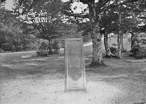 Rufus Taşı, Yeni Orman, c1896