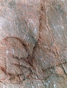  by Prehistoric Prehistoric