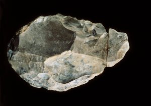 Çift taraflı çakmaktaşı, Üst Paleolitik (çakmaktaşı) by Prehistoric Prehistoric