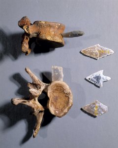 Ulusal Eski Eserler Müzesi