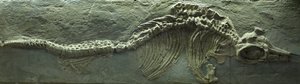  by Prehistoric Prehistoric