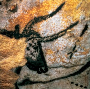 Bir yaban öküzü (soyu tükenmiş sığır), Boğa Odası, Lascaux mağarası, Montignac, Dordogne, Fransa, Paleolitik Magdalen dönemi (resim) tasvir eden parietal resim by Prehistoric Prehistoric