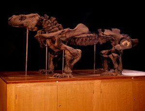 tarih öncesi; dinozorlar: ichthyosaur