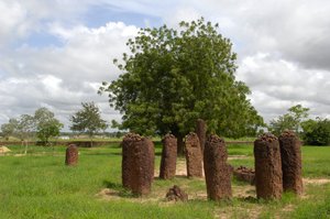 Tarih Öncesi: Wassu, Gambiya'dan megalitik taş çemberi (fotoğraf) by Prehistoric Prehistoric
