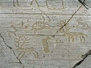 Tarihöncesi, Camunni uygarlığı, kaya sanatı: geyik temsilinin mezar taşı. Neolitik ve Tunç Çağı arasındaki dönem. Kaya. 1. Capo di Ponte, Naquane Kaya Oymaları Ulusal Parkı, Valcamonica, Val Camonica, İtalya by Prehistoric Prehistoric