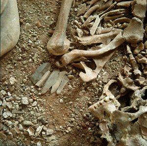 Prehistorya: yetişkinlerin ve çocukların çifte mezarlığı. Ligurya