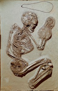 Prehistorya: Üst Neolitik