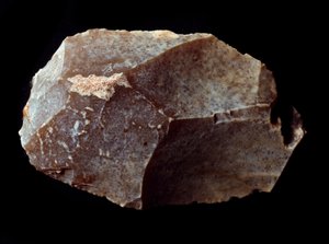 Prehistorya: taş kazıyıcı üzerinde kesilmiş. Üst Paleolitik, Magdalene. Verone, Civic Museum of Natural History, İtalya by Prehistoric Prehistoric