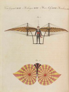 Çocuk Resimli Kitap Çocuk ansiklopedisi, Friedrich Johann Justin Bertuch, 1798-1830. by Pupils of the Weimar Princely Free
