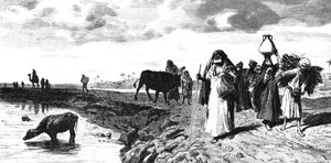 Deltada bir Chaussee, sel sırasında, 1880 by R. Brandamour