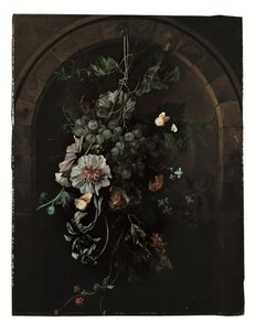  by Rachel Ruysch