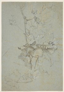 bitki örtüsü by Rachel Ruysch