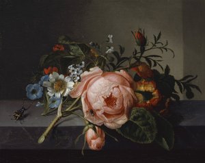 Gül Dalı, Böcek ve Arı ile Natürmort, 1741 (meşe üzerine tuval üzerine yağlı boya)