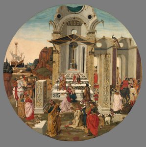 Magi
