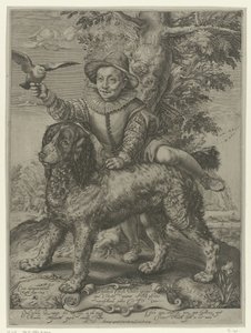 Frederik de Vries