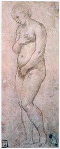 Venüs Çalışması, c1500-1520 by Raffaello Sanzio Raphael