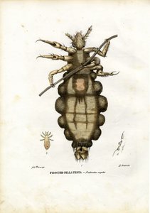 Bit, 1863-79