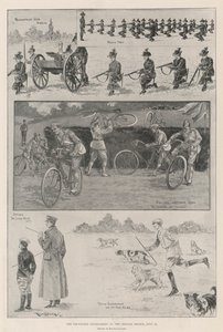 Crystal Palace