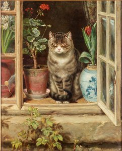 Güneşte Yanıp Sönen, 1881
