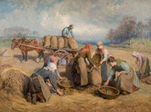 Patates Toplayıcılar, Northumberland, 1903