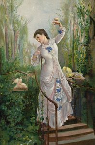 Kaplumbağa Güvercin Anası (chromolitho)
