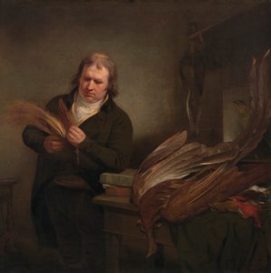 Bir Ornitolog, Muhtemelen John Latham by Ramsay Richard Reinagle