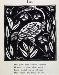 Ibis - Guillaume Apollinaire