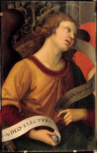 Bir melek. Baronci