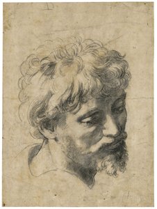 ""Genç Bir Havarinin Portresi"" (Genç Havarinin Başı) Raphael Tarafından Kağıt Üzerine Karakalem (Raffaello Sanzio) (1483-1520) Özel Koleksiyon