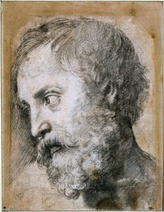 Başkalaşım için Bir Havari Çalışması Başkanı, 1519-1520 by Raffaello Sanzio Raphael