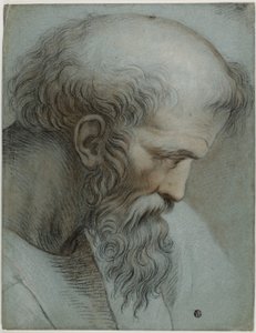 Pisagor Başkanı by Raphael