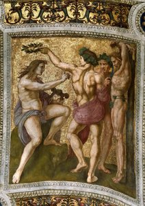 Marsyas ve Apollon. Stanza della Segnatura