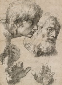 İki Havarinin Başları ve Ellerinin Çalışmaları, 16. yüzyıl by Raphael